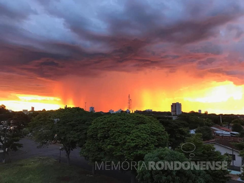 Imagem: Carina Ribeiro