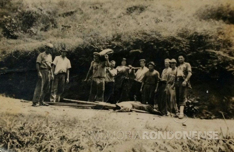Grupo de pioneiros rondonenses regressando da pescaria e mostrando os grandes peixes apanhados junto ao Rio Paraná, na década de 1950. 