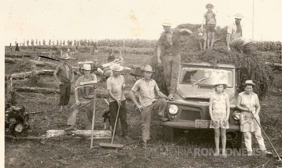 Colheita de mentha ou hortelã no então distrito rondonense de Mercedes.
Imagem: Acervo Blog do Viteck.
