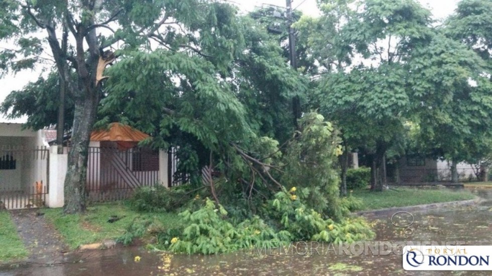 || Estragos causados pelo temporal de 09 de fevereiro de 2017.
Imagem: Acervo Portal Rondon - FOTO 6 -