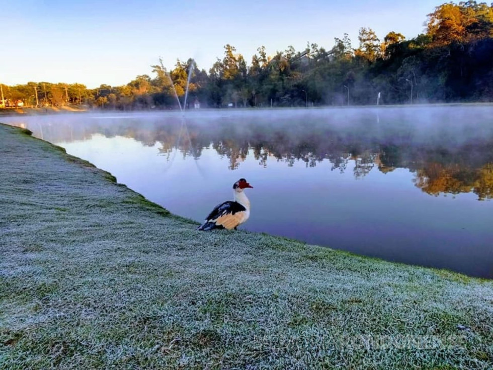 || Vista da geada no Parque de Lazer Rodolfo Rieger (Lago Municipal), em começo de julho de 2019, em Marechal Cândido Rondon.
Imagem: Acervo PM - MCR - FOTO 11 -