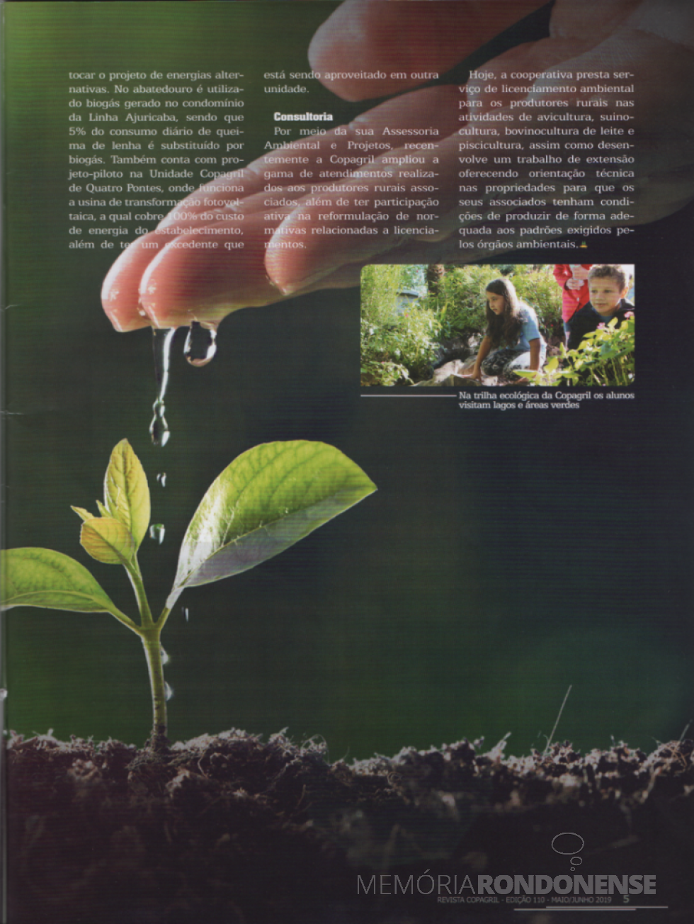 || Sequência referencial sobre a celebração do Dia do Meio Ambiente 2019 na Revista Copagril nº 110.
- FOTO 18 -
