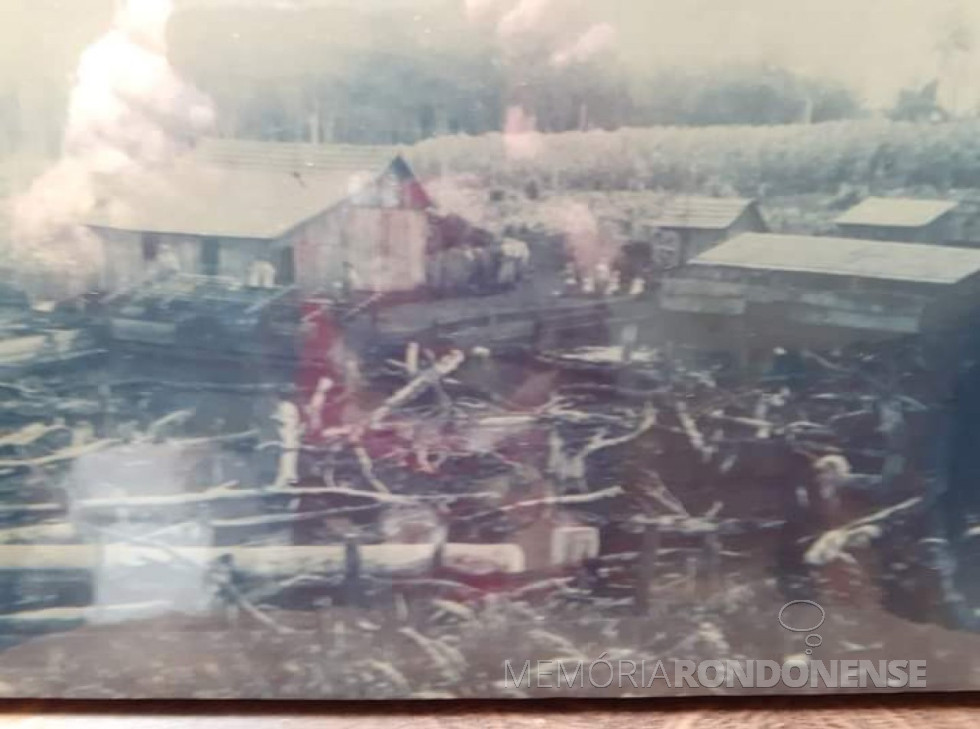 || Primeira moradia do casal pioneiro Hilda e José Leopoldo Witeck, na Linha São Cristóvão, mais instalações para animais.
IMagem: Acervo Izoldi Witeck Adams - FOTO 3 -