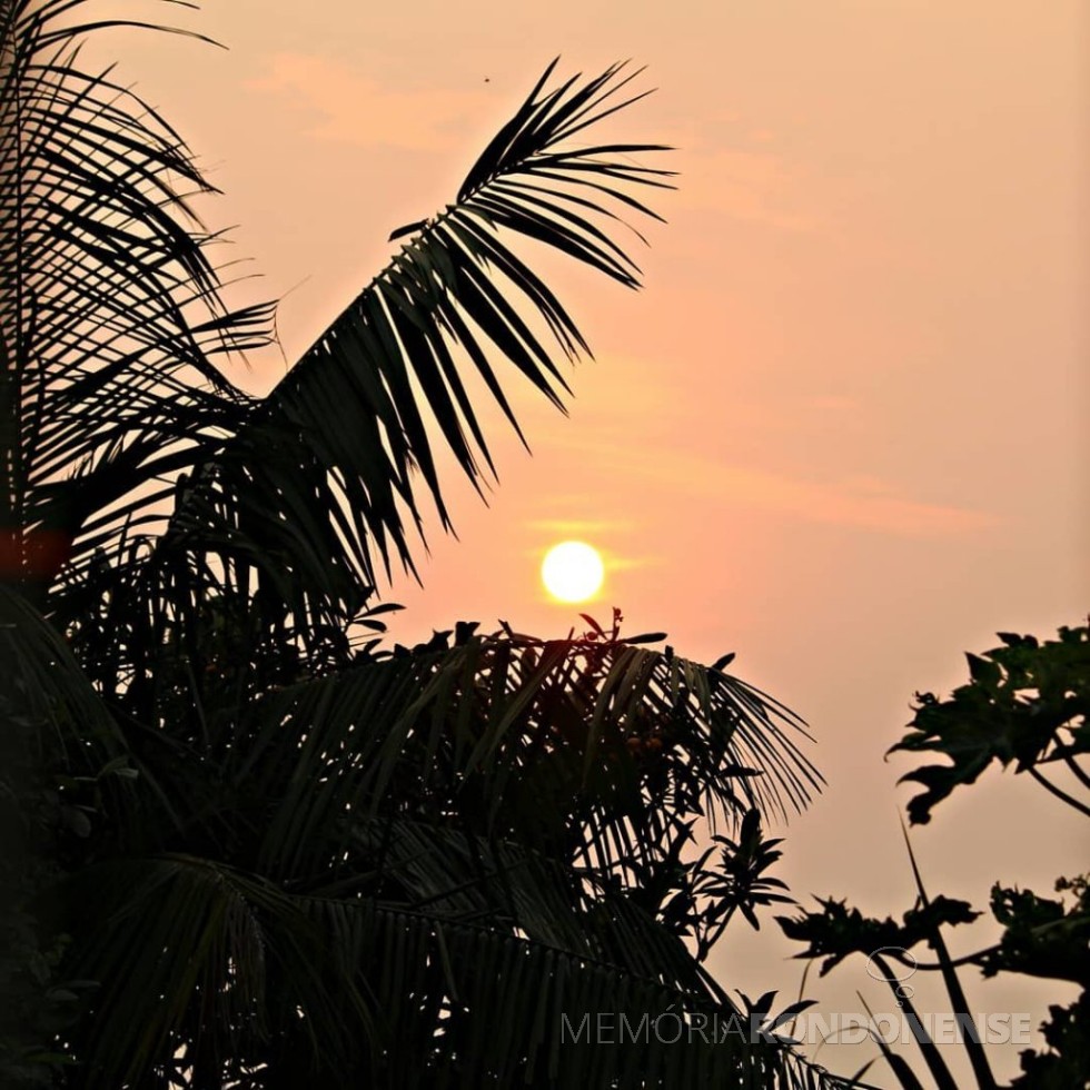 || Outro instantaneo do sol inicio da manhá na cidade de Marechal Cändido Rondon, em 14 de setembro de 2020.
Imagem: Acervo e crédito de Jair Meller, em foto captada desde o Jardim Líder. - FOTO 22 -