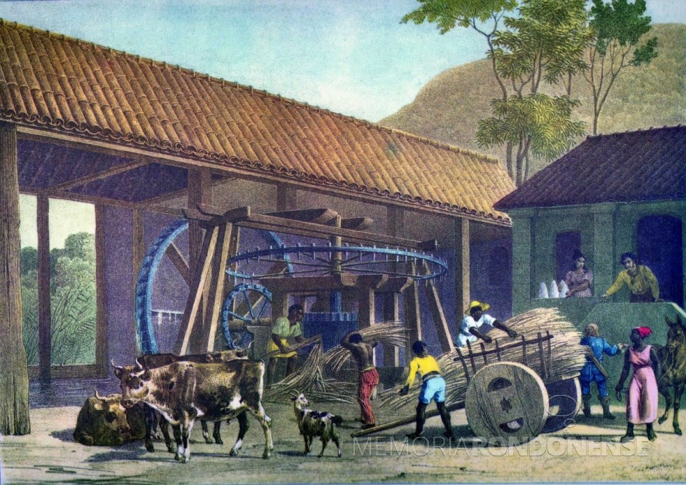 || Moenda de cana no Brasil Colonial para produção de açúcar e aguardente.
Imagem: Acervo Domínio Público - Pintura de Johannes Rugendas (com redifinição) - FOTO 3 -