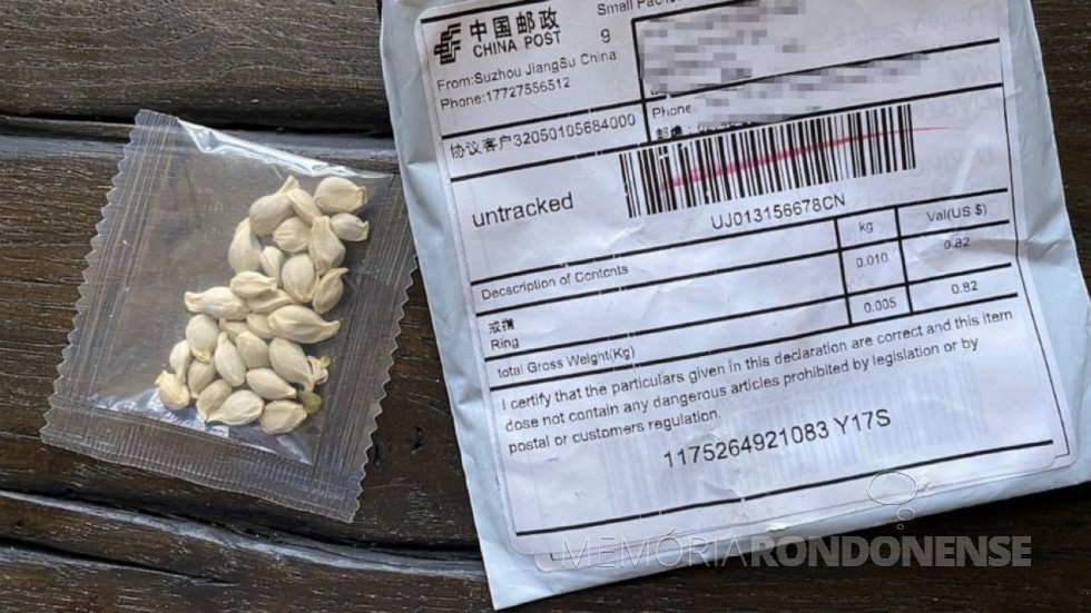 || Amostra de sementes não encomendadas vindas da China. 
Imagem: Acervo Compre Rural - FOTO 17 -