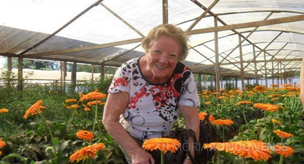 || Pioneira Nely Dahmer Dreher, falecida em final de dezembro de 2020.
Imagem: Acervo Vilmar Güttges - FOTO 18 -