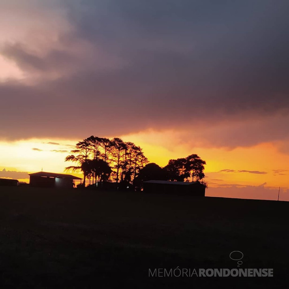 || Entardecer no município de Marechal Cândido Rondon, em foto feita no distrito de Novo Três Passos, no dia 16 de março de 2021.
Imagem: Acervo e crédito: Lidiane Fiorini - FOTO 21 -
