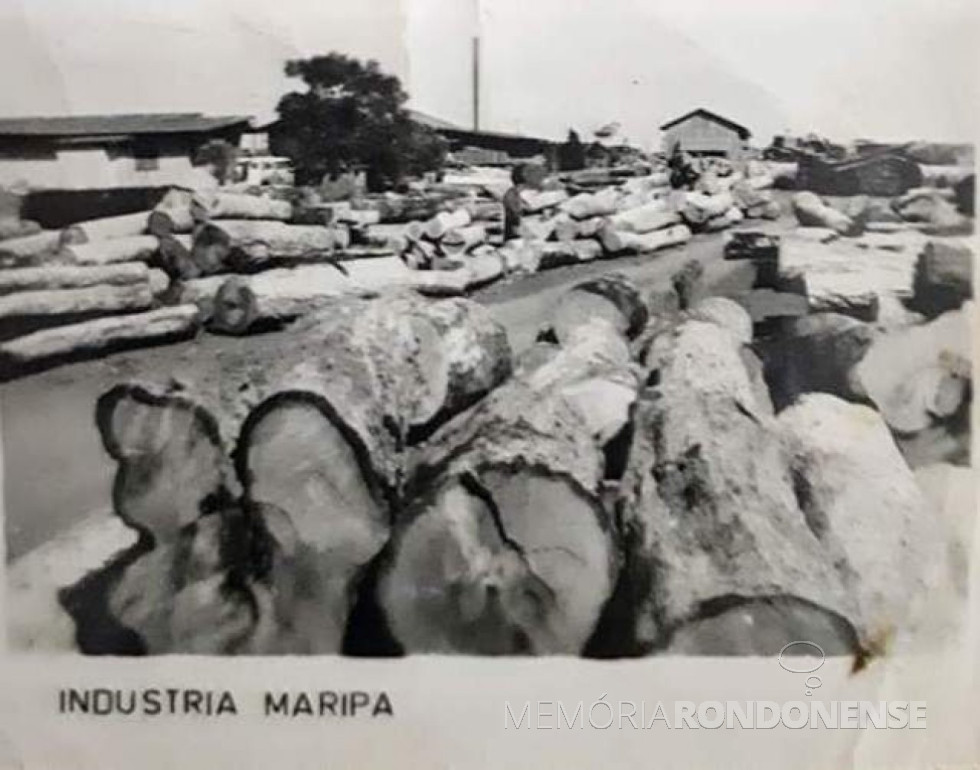 || Depósito de toras de madeira junto a uma serraria da colonizadora Maripá.
Imagem: Acervo Adair Krolow - FOTO 2 -