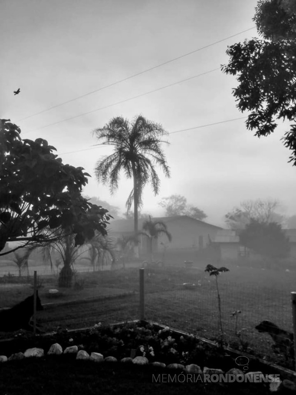 || Neblina no amanhecer em Marechal Cândido Rondon no dia 16 de junho de 2021, na propriedade do casal Roselene Zimmermann e Semildo Laske.
Imagem: Acervo e crédito de Roselene Zimmermann Laske - FOTO 12 -