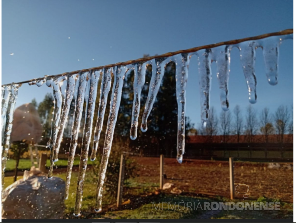 || Outro instantâneo do congelamento de água na Linha Ajuricaba, na madrugada fria de 19 de julho de 2021.
Imagem e crédito: Leandro Weber - FOTO 14 -
