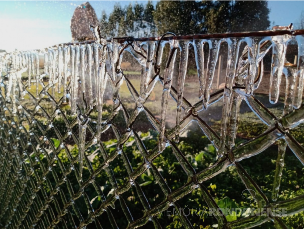 || Congelamento de água no interior do município de Marechal Cândido Rondon, na localidade de Linha Ajuricaba, no dia 19 de julho de 2021.
Imagem e crédito: Leandro Weber - FOTO 13 -