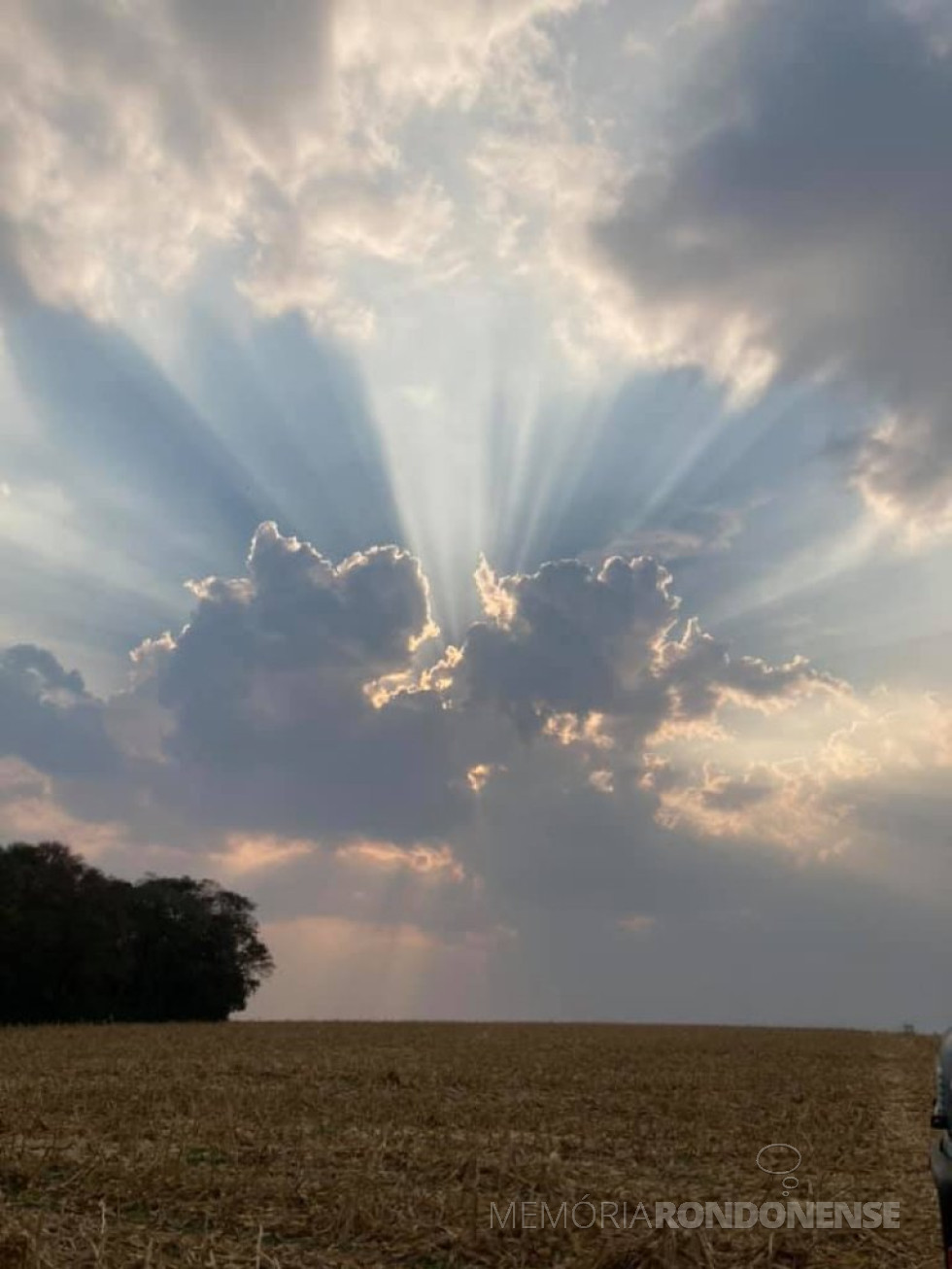 || Pôr do sol no município de Marechal Cândido Rondon, em foto feita desde a Linha Perdigão, pelo rondonense Elton Hollmann, em 25 de agosto de 2021.
- FOTO 11 -