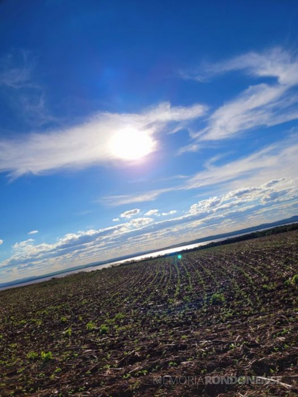 || Final da tarde no distrito rondonense de Porto Mendes, com vista para o Lago de Itaipu, em24 de outubro de 2021.
Imagem: Acervo e crédito da pioneira rondonense Ilda Bet - FOTO 21 --