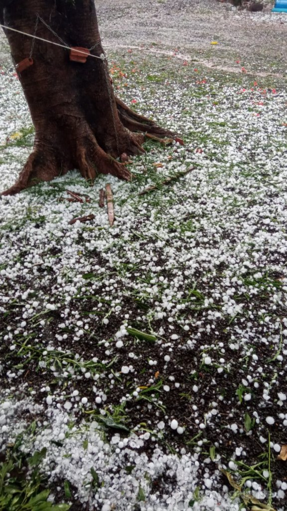 || Granizo na sede distrital rondonense de Iguiporã, em 28 de novembro de 2021.
Imagem: Acervo Nilson Hachmann - FOTO 17 - 