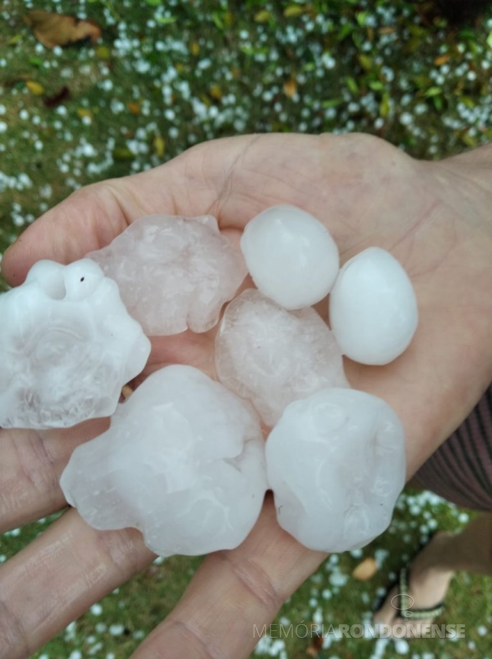 || Outra mostra de pedras de granizo que cairam em Iguiporã, em 28 de novembro de 2021.
Imagem: Acervo Nilson Hachmann - FOTO 22 -