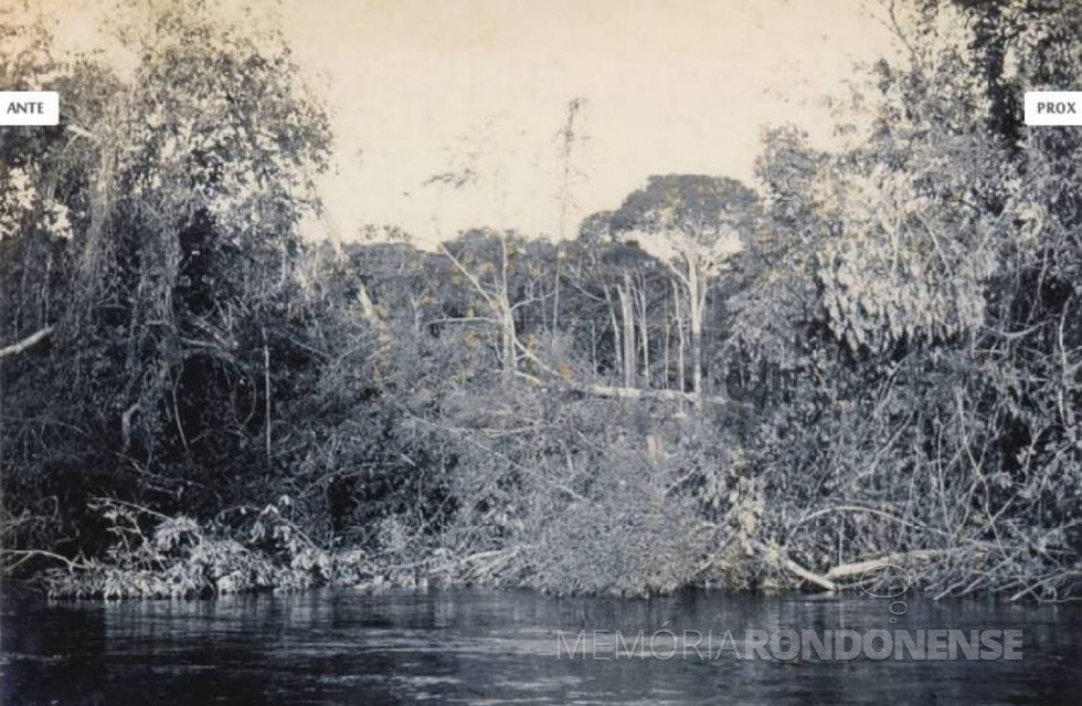 || Clareira  aberta junto ao Rio Arinos, onda seria construída a cidade de Porto dos Gaúchos, fundada em maio de 1955.
Imagem: Acervo Conomali - Crédito: Walter Irgang - FOTO  8 -