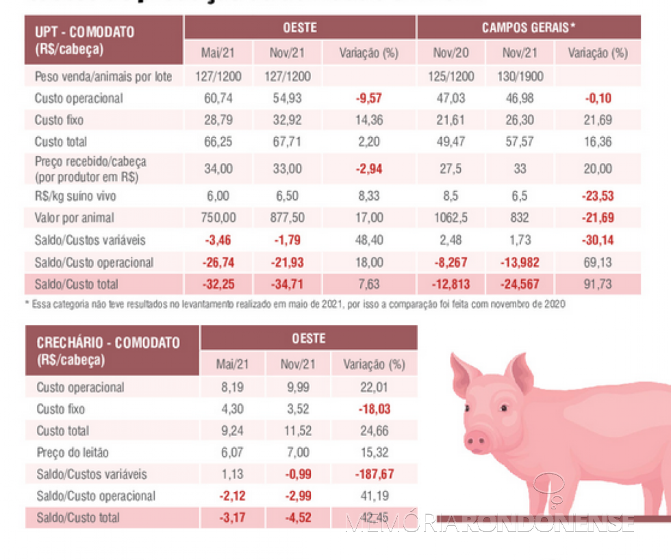 || Infográfico do levantamento dos custos de produção na suinocultura paranaense em 2021, feito pelo Sistema FAEP/SENAR-PR - FOTO 20 -