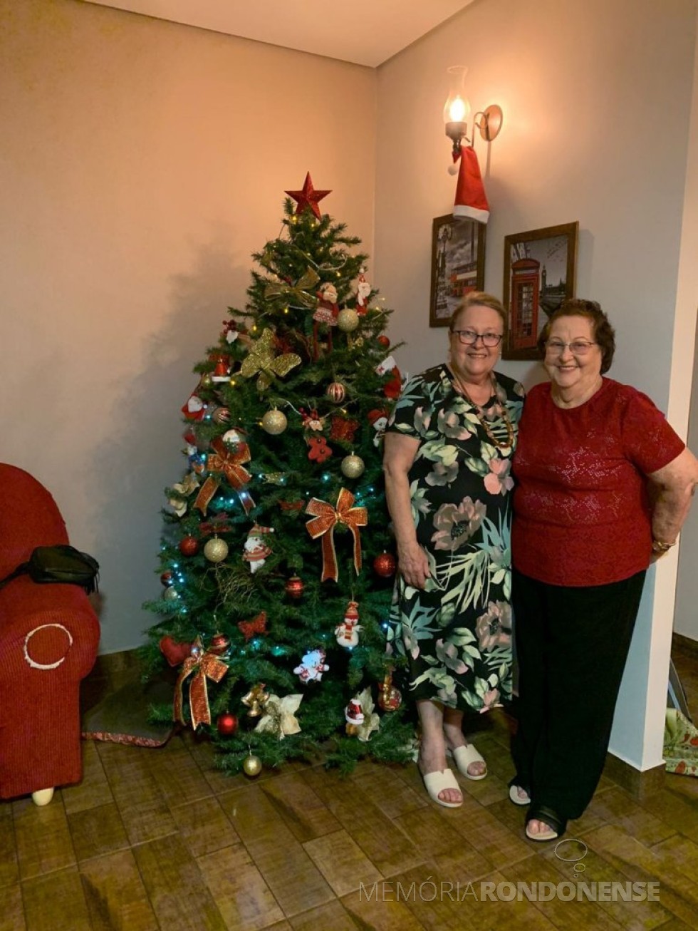 || Árvore de natal na residência de Brunhilde e Elizabet Thessing (mãe e filha), em dezembro de 2021.
Imagem: Acervo pessoal - FOTO 7 - 
