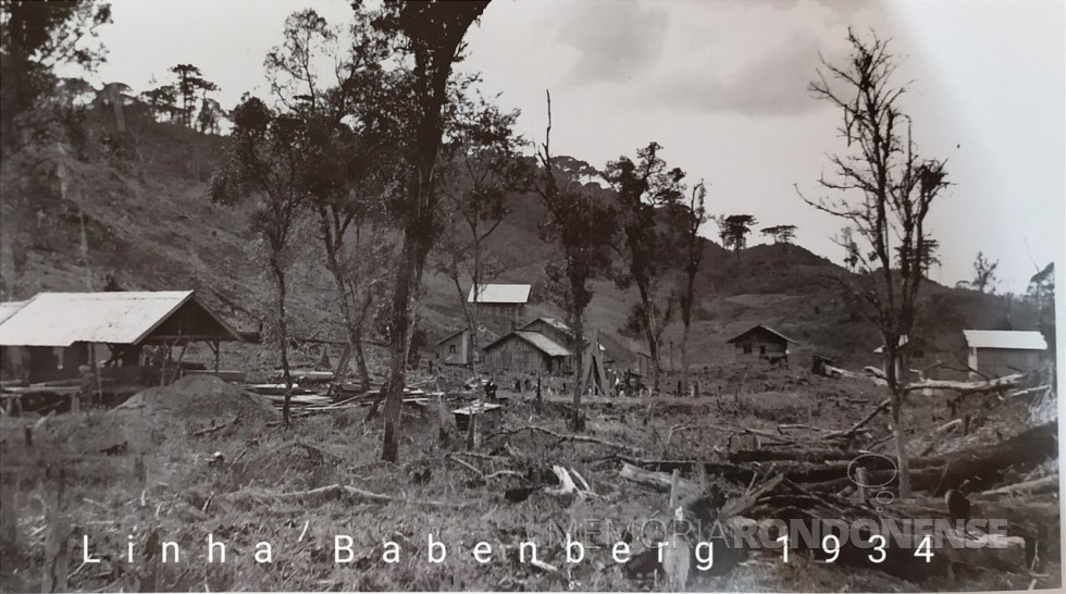 || Linha Bamberg, no atual município de Treze Tílias (SC), com as primeiras residências  de imigrantes austríacos pioneiros do núcleo de colonização encetado por Andreas Thaler, em outubro de 1933.
Imagem: Acervo Marcos Spies (Pato Bragado) - FOTO 8 - 