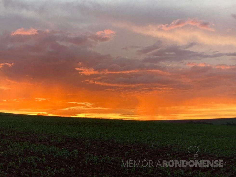 || Pôr do sol no interior de Marechal Cândido Rondon (PR), em
Foto captada desde a Linha Guavirá, em 04 de março de 2022.
Imagem: Acervo e crédito do rondonense Elton Hollmann - FOTO 17 - 