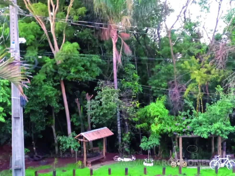 || Aspecto da vitalização do espaço ambiental junto ao Bairro Boa Vista, em Marechal Cândido Rondon.
Imagem: Acervo O Presente - FOTO 16 -