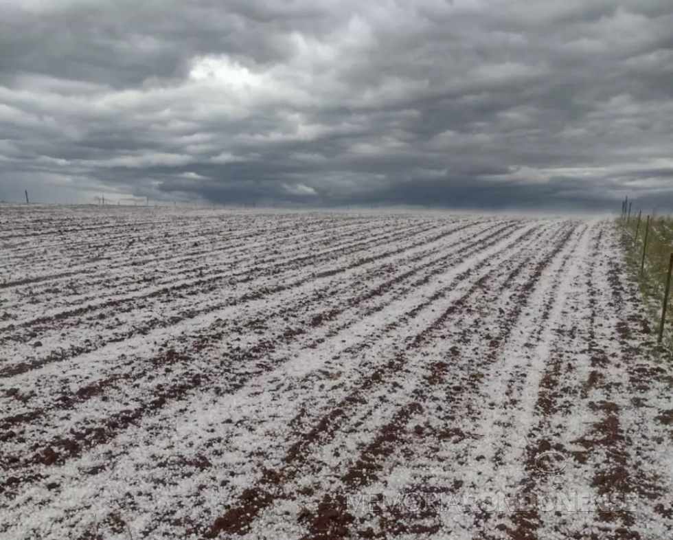 || Queda de granizo em área rural do município de Guarapuava (PR), em 29 de outubro de 2022.
Imagem: Acervo RIC Mais - FOTO 22 -