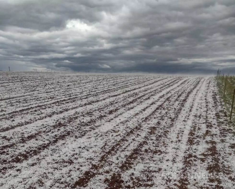 || Queda de granizo em área rural do município de Guarapuava (PR), em 29 de Outubro de 2022.
Imagem: Acervo RIC Mais - FOTO 20 - 