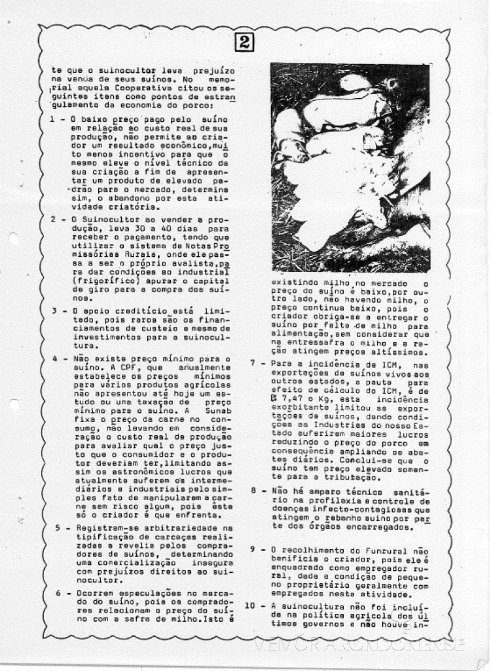 || Página 2 do informativo nº 2 dos Suinocultores do Oeste Paranaense.
Imagem: Acervo Projeto Memória Rondonense - FOTO 18 -