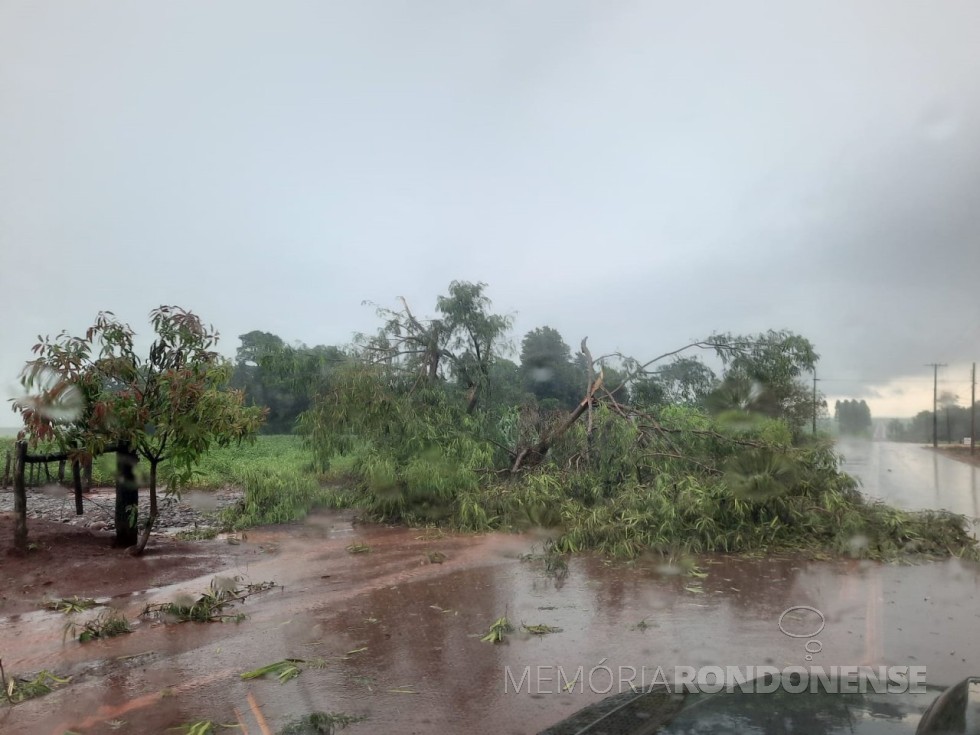 ||Estrago do temporal em Dr. Raúl Peña, Paraguai, em 13 de janeiro de 2023. 
Image: Acervo e crédito de Wilson Arnho
ld - FOTO  14 - 