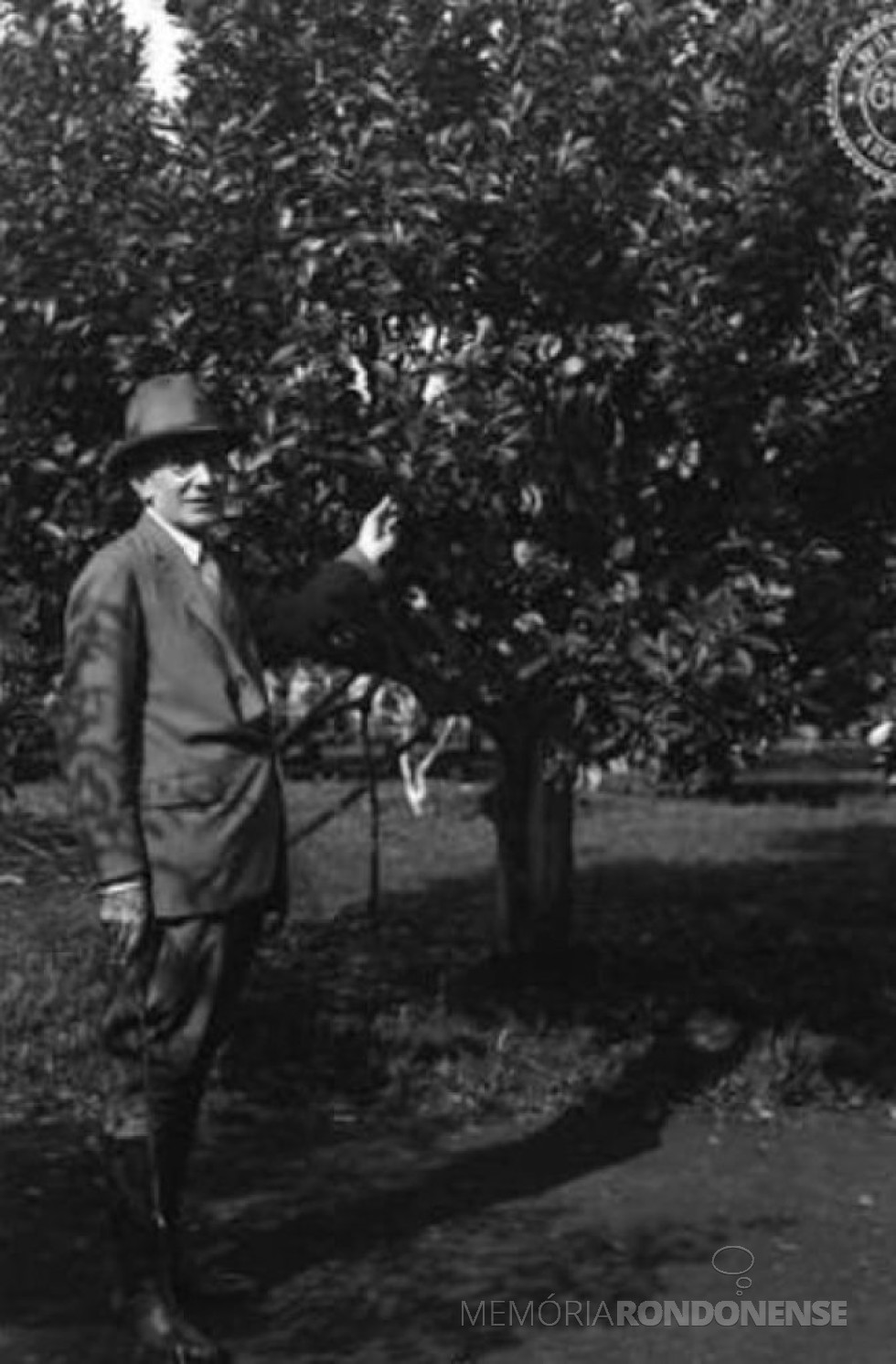 || Empresário Pedro Nuñez, em visita aos seus ervais, ele foi um dos primeiros proprietários junto com seu sócio Lázaro Gibaja, da obrage Lopei, localizada entre os municípios paranaenses de Toledo e Cascavel.
Imagem: Acervo Alfonso R. Arrechea (Posadas) - FOTO 3 -