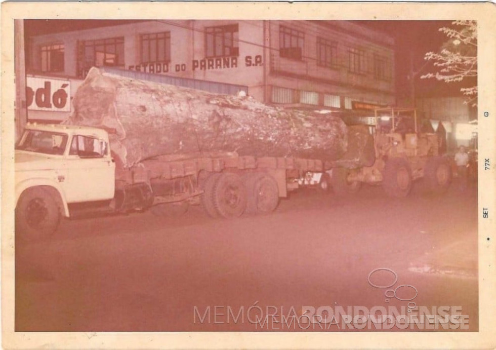 || Tronco de ipê transportado pela Avenida Rio Grande do Sul para ser exposto no acesso a BR-163, adquirido em setembro de 1977.
Imagem: Acervo do jornalista rondonense Jadir Zimmermann - FOTO 9 -