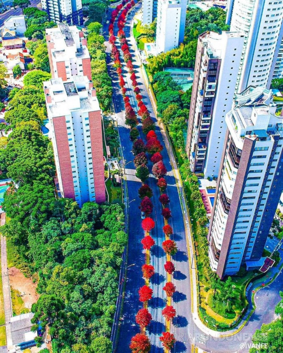 || Curitiba no outuno em abril de 2023.