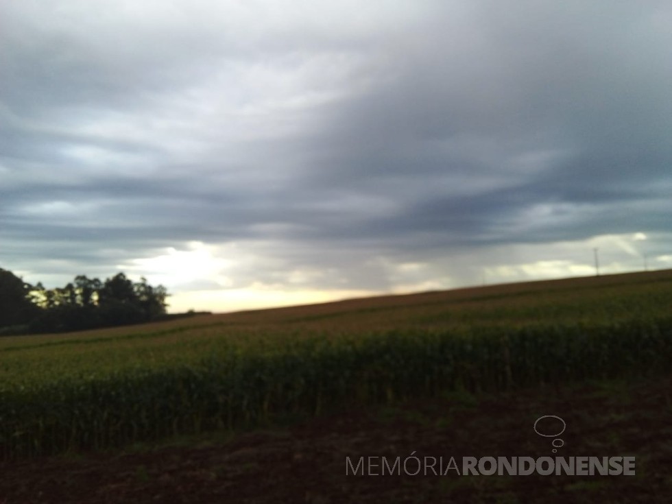 || Nebulosidade no município de Marechal Cândido Rondon, em 11 de junho de 2023.
Imagem clicada por Eli Marcon a partir da Linha São Luiz.
Imagem: Acervo do autor - FOTO 24 -