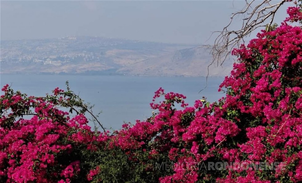 ||  Mar da Galileia visto do Monte das Beatitudes, monte onde Jesus falou sobre as bem-aventuraças.
Imagem: Acervo e crédito de Tarcísio H. Vanderlinde - FOTO 30 - 