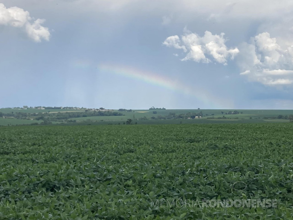 || Interior de Marechal Cândido Rondon com vista da cidade desde a Linha Guavirá, em 03 de dezembro de 2022.
Imagem: Acervo e crédito de Elton Hollmann - FOTO 31 -