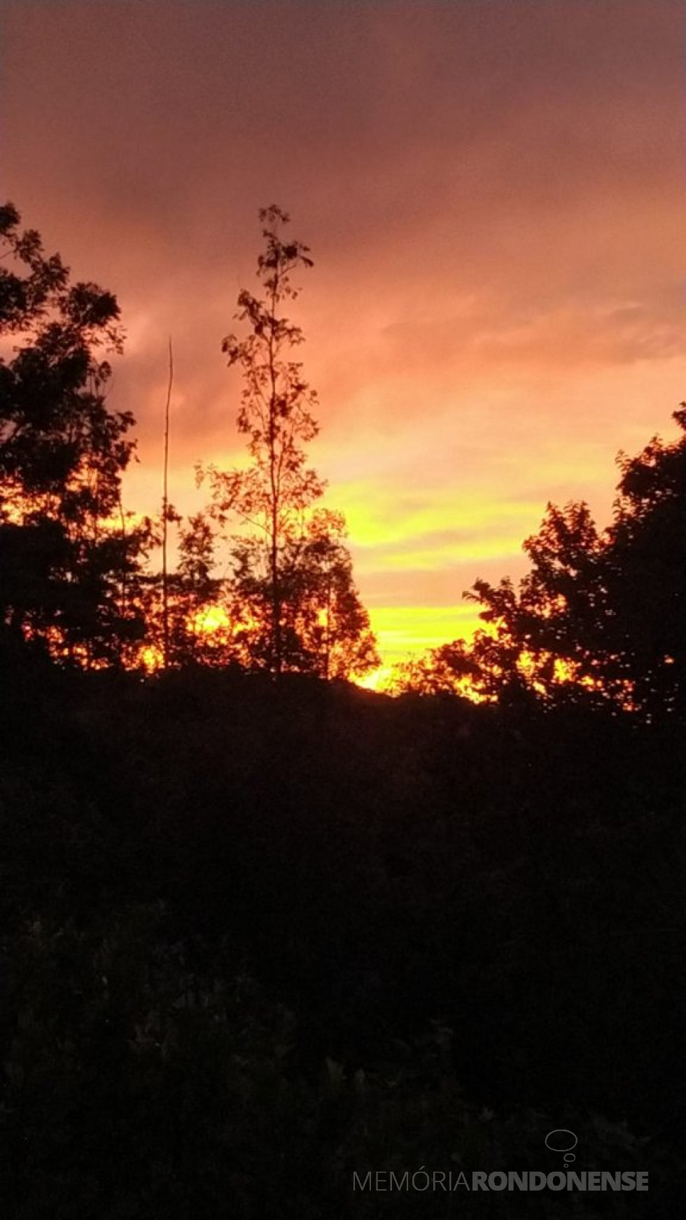 || Pôr do sol em Marechal Cândido Rondon em 10 de dezembro de 2023, fotografado desde o sitío do casal Telci Witeck e Hildor Dreyer, situado na localidade Linha Palmital.
Imagem: Acervo e crédito de Telci Viteck Dreyer - FOTO 27 -