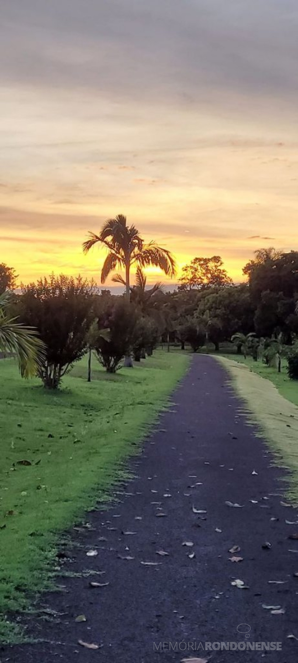 || Começo dia dia em Marechal Cândido Rondon no dia 08 de dezembro de 2023, clicado no distrito rondonense de Porto Mendes, a partir do Clube Náutico.
Imagem: Acervo e crédito da pioneira rondonense Ilda Bet - FOTO 21 -