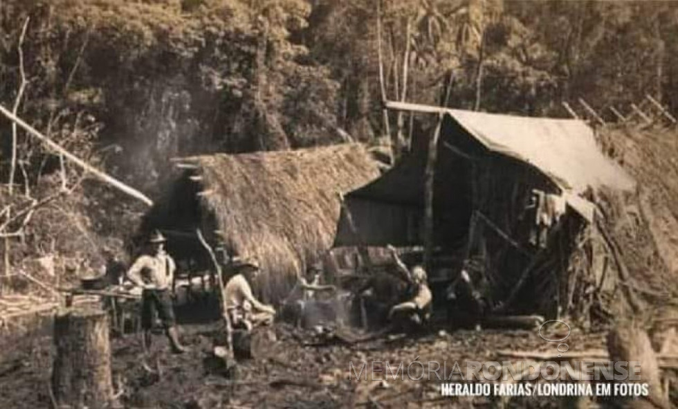 || Marco inicial da cidade de Londrina - os dois ranchos construídos pelo grupo precursor da colonização.
Imagem: Acervo Heraldo Farias - FOTO 2 - 