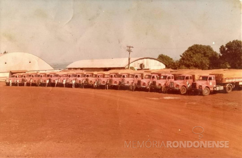 || Parte da frota de caminhões da Copagril, em foto de 1978.
Imagem: Acervo Projeto Memória Rondonense - FOTO 5 -