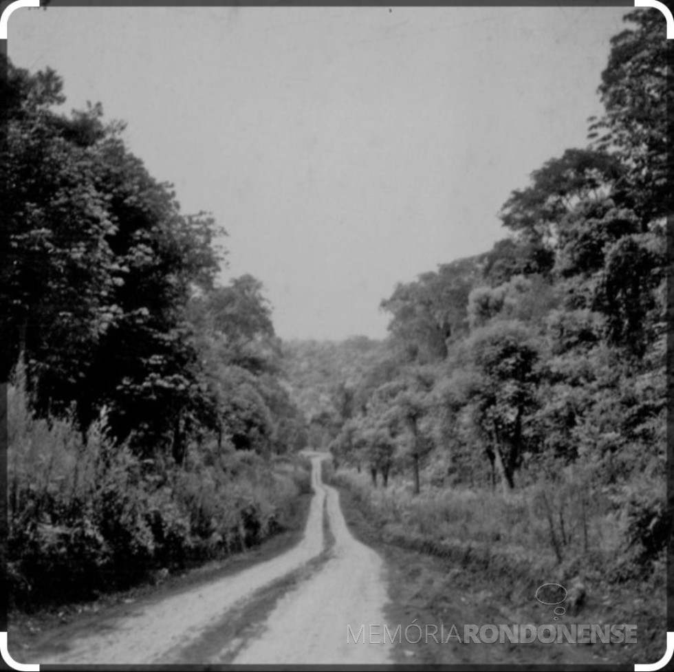 || Estradas das Cataratas, patrolada, provavelmente na década de 1940.
Imagem: Acervo Rita A. Araújo - FOTO 5 -