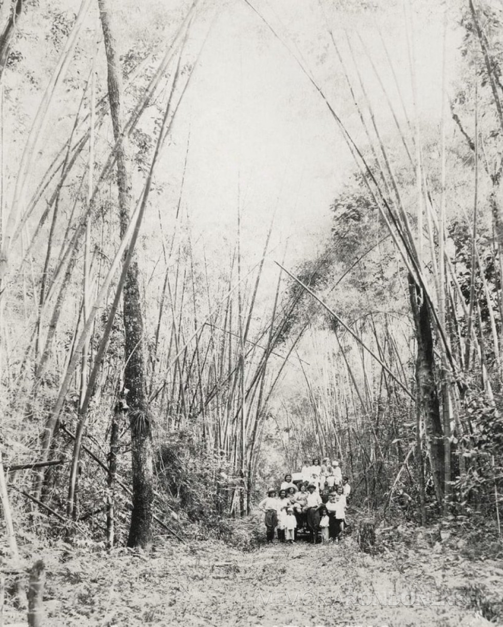 || Antiga picada de acesso às Cataratas do Iguaçu.
Imagem: Acervo Jorge Pegoraro - FOTO 3 -