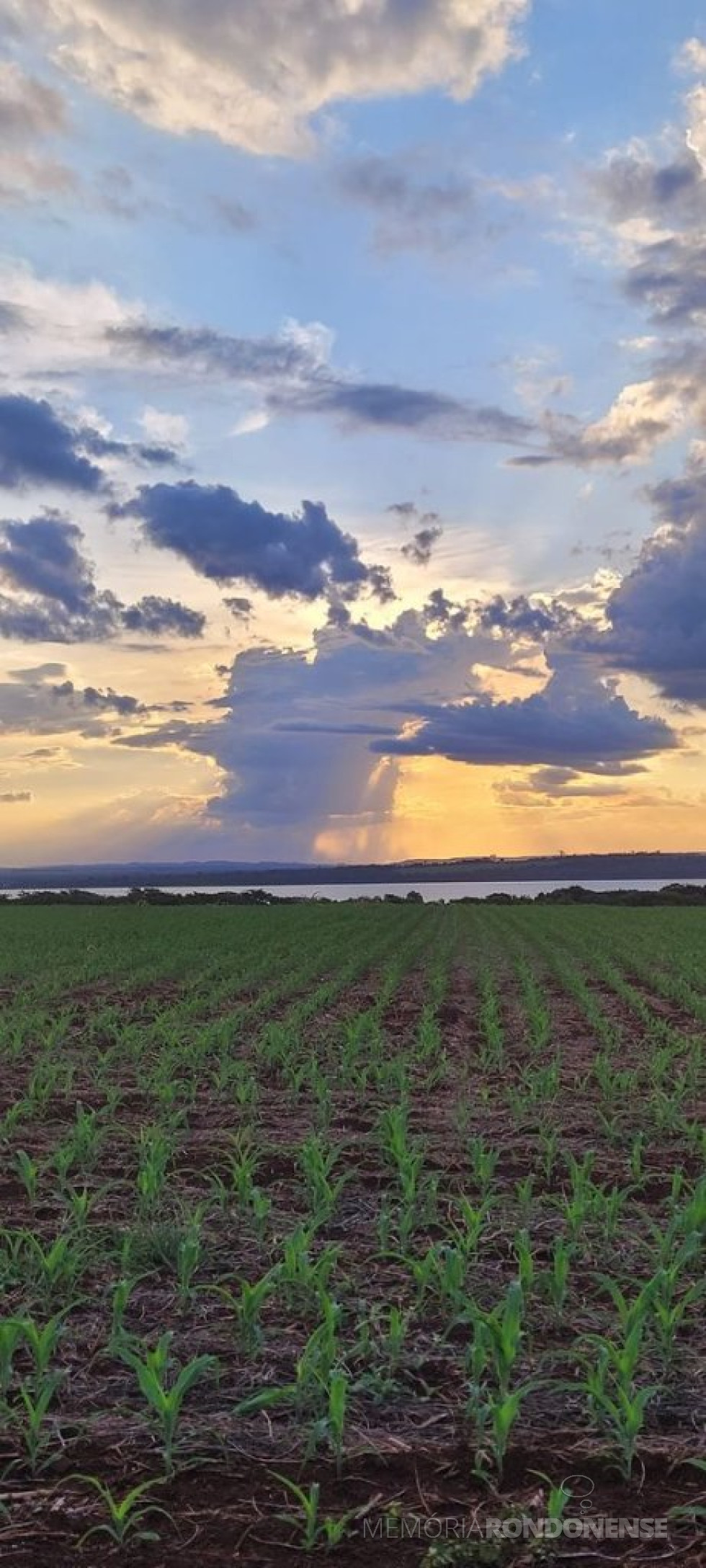 || Pôr do sol em Marechal Cândido Rondon em 09 de março de 2024, clicado no distrito rondonense de Porto Mendes, com vista para o Reservatório da Itaipu Binacional e o leste da República do Paraguai.
Imagem: Acervo e crédito da pioneira rondonense Ilda Bet - FOTO 15 -