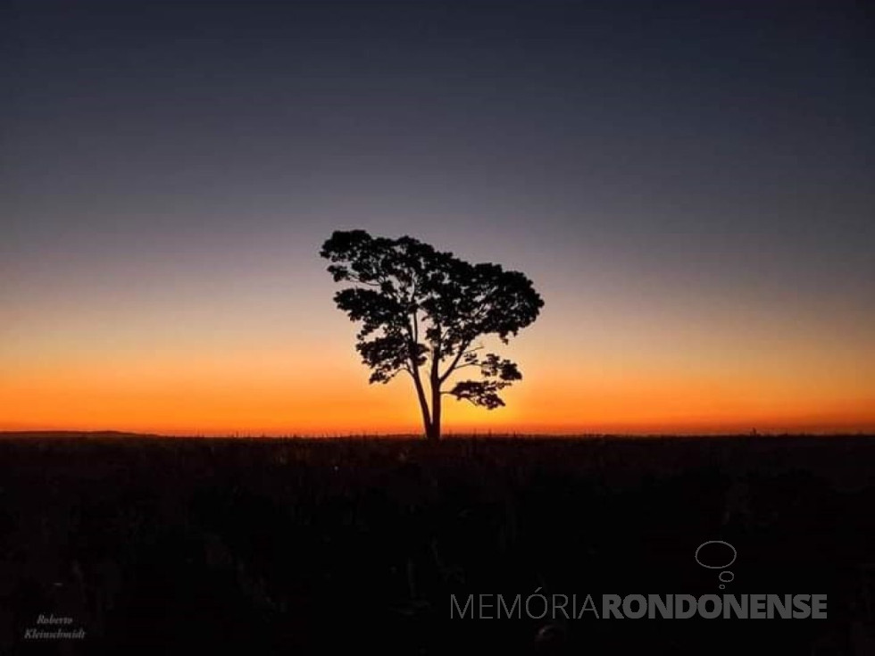 || Poente na região de Marechal Cândido Rondon, em 20 de maio de 2024.
Imagem: Acervo o Presente - crédito de Roberto Kleinschmidt - FOTO 31 -
