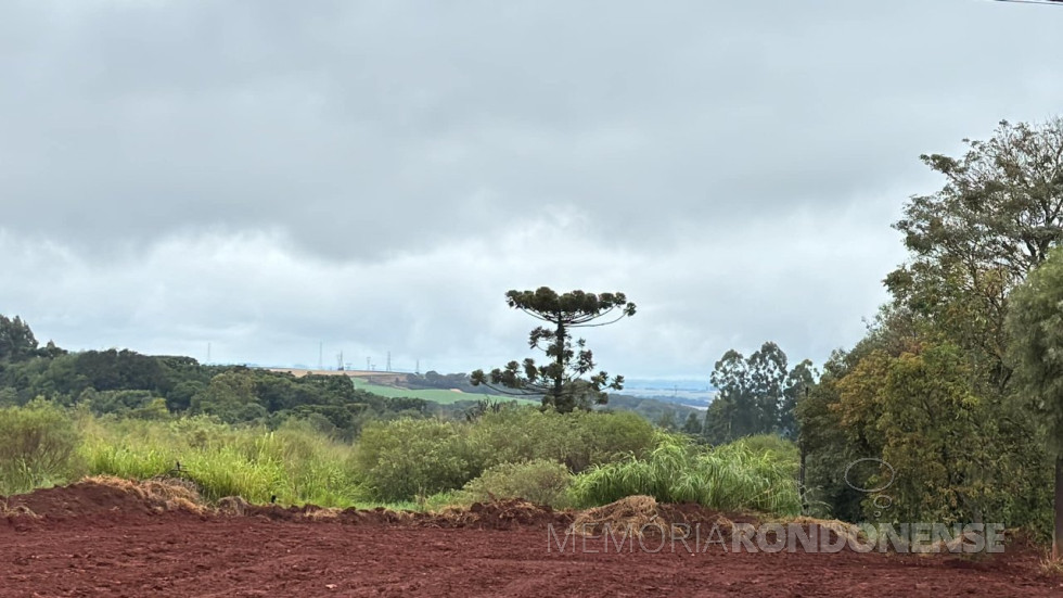 || Dia nublado em 25 de maio de maio de 2024, fotografado na região da cidade de Cascavel (PR).
Imagem: Acervo e crédito de Ailton Santos/Tarobá - FOTO 26 -