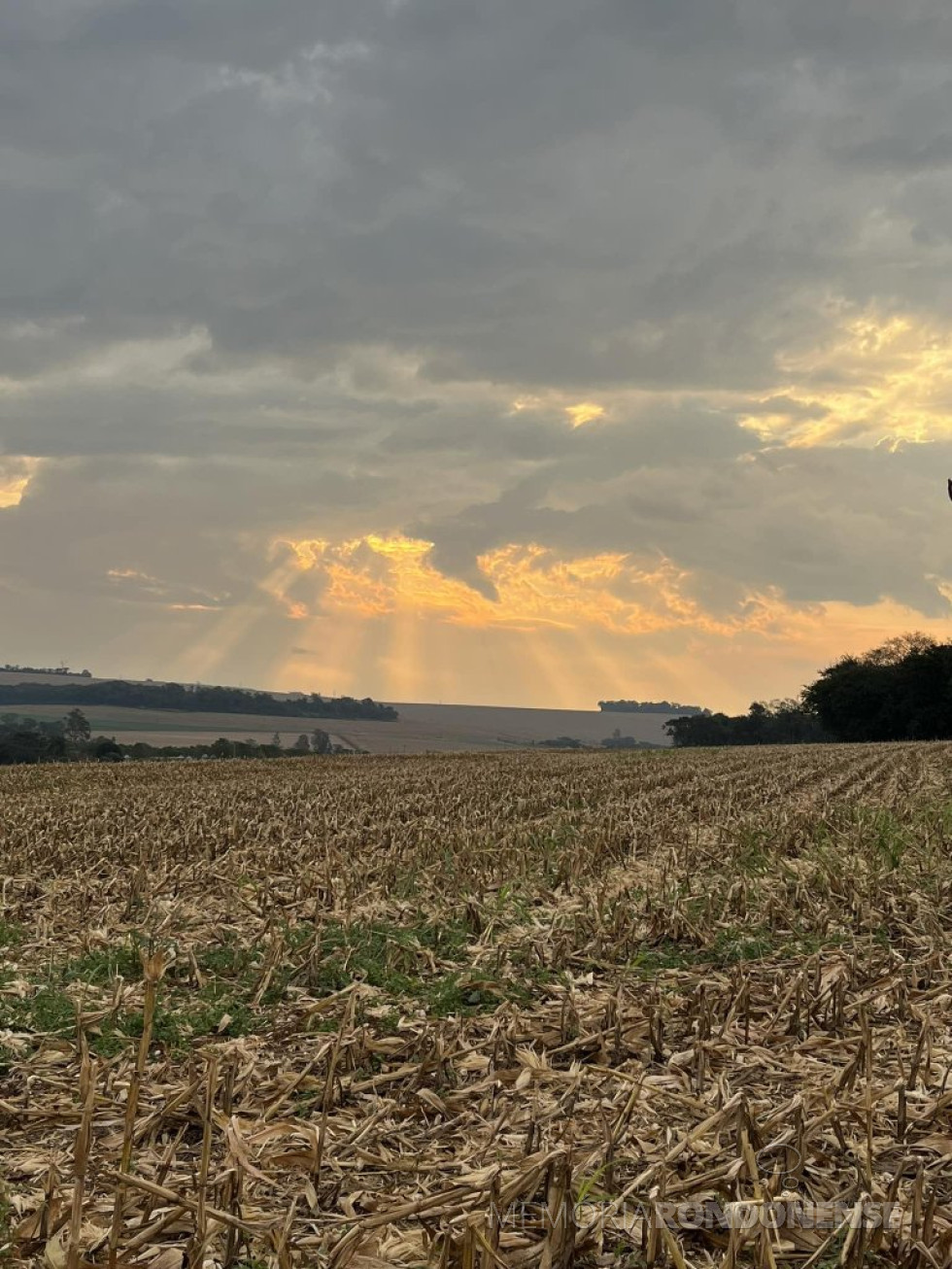 || Entardecer no interior do município de Marechal Cândido Rondon, no distrito de Nova Horizonte, na Linha Guavirá, em 24 de junho de 2024.
Imagem: Acervo do rondonense Elton Hollmann - FOTO 42 -