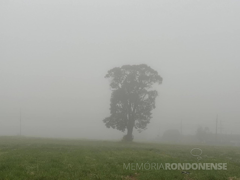 || Começo da manhã de 26 de junho de 2024, na cidade de Cascavel (PR).
Imagem: Acervo e crédito de Aílton Santos / Tarobá / Facebook - FOTO 23 -