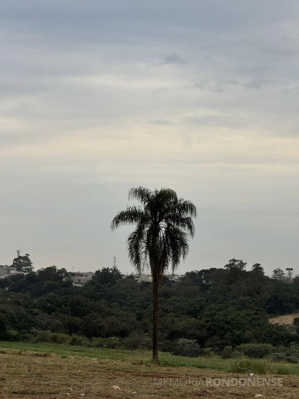 || Final da tarde na região da cidade de Cascavel (PR), em 20 de junho de 2024. 
Imagem: Acervo e crédito Ailton Santos/Tarobá  Cascavel - FOTO 33 -