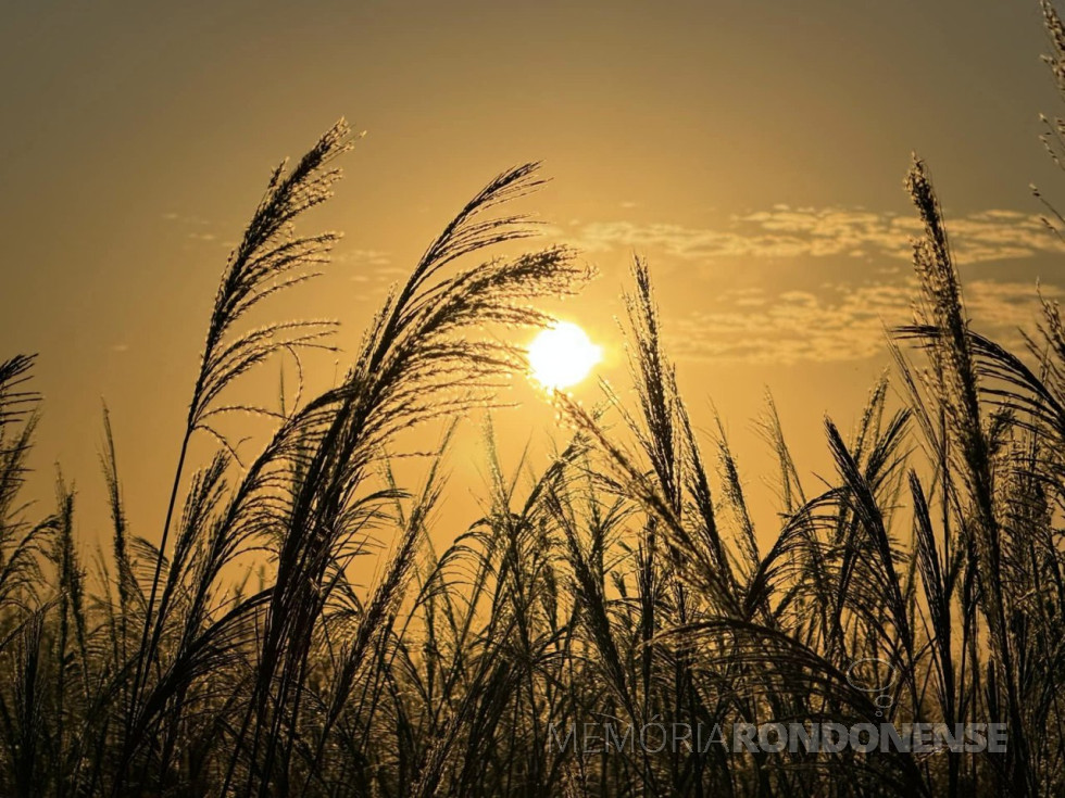 || Entardecer na região da cidade de Cascavel (PR), em 22 de junho de 2024.
Imagem: Acervo e crédito de Aílton Santos / Tarobá Cascavel / Facebook- FOTO 22 -