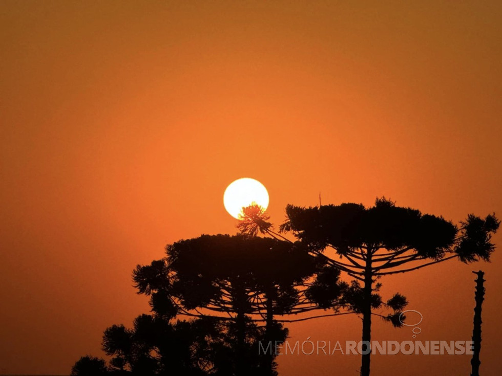 || Pôr do sol na região da cidade de Cascavel (PR), em 25 de julho de 2024.
Imagem: Acervo e crédito de Aílton Santos - FOTO 56 -